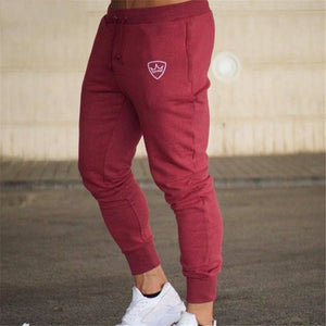 Alphalete Brand Autumn Winter Fitness Men Gyms Pants Fashion Cotton Pencil Pants Bodybuilding Trousers High Quality Jogger Pants